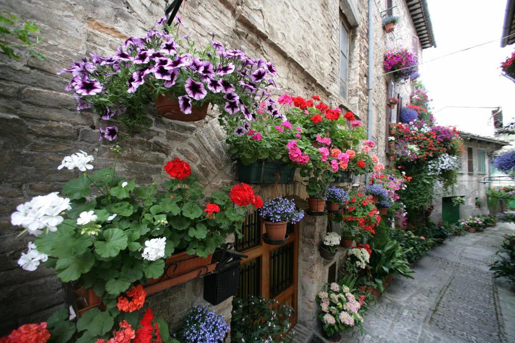 Hotel Palazzo Brunamonti Bevagna ภายนอก รูปภาพ